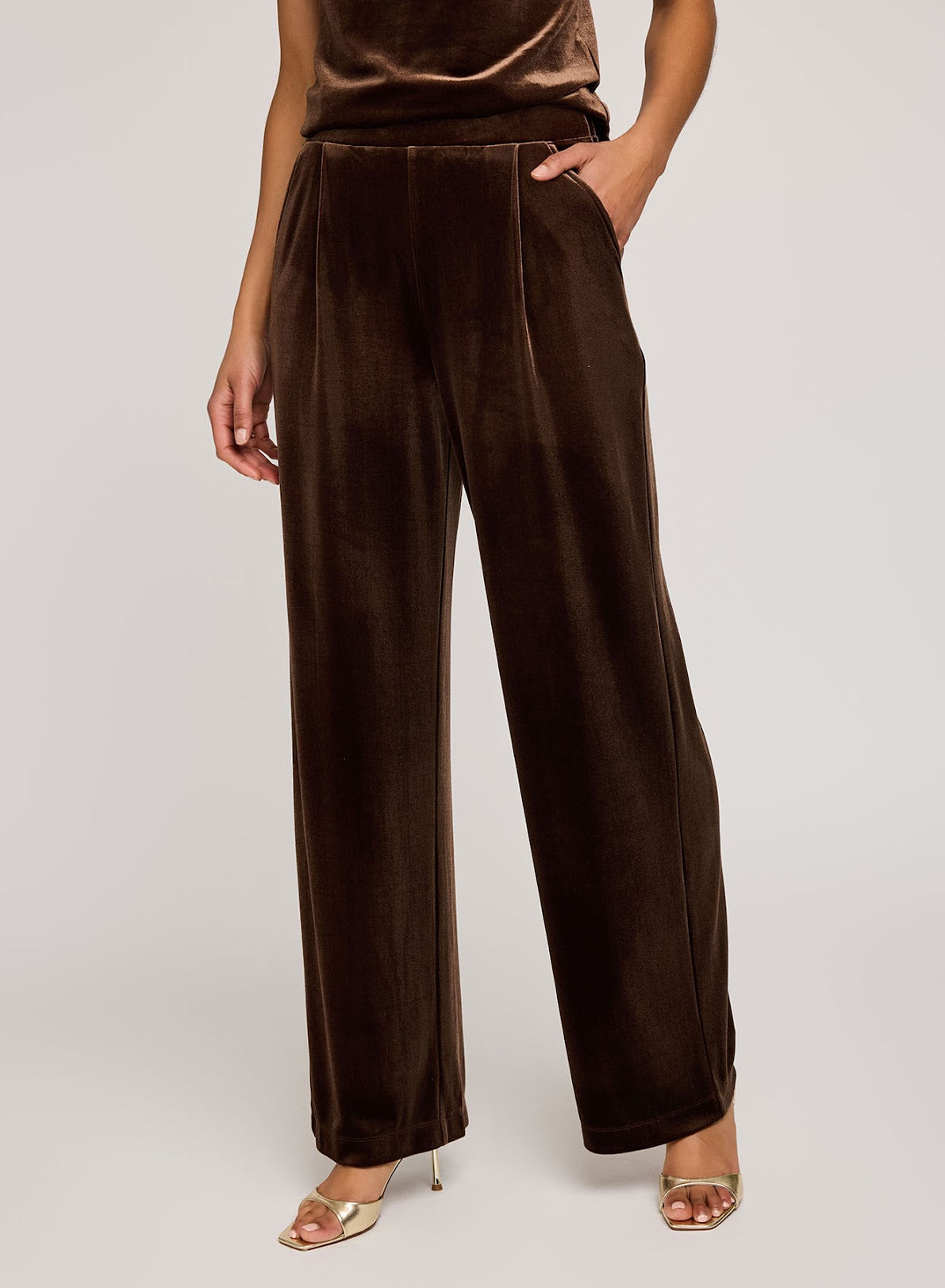 Sylvia Pant- Ganache Brown