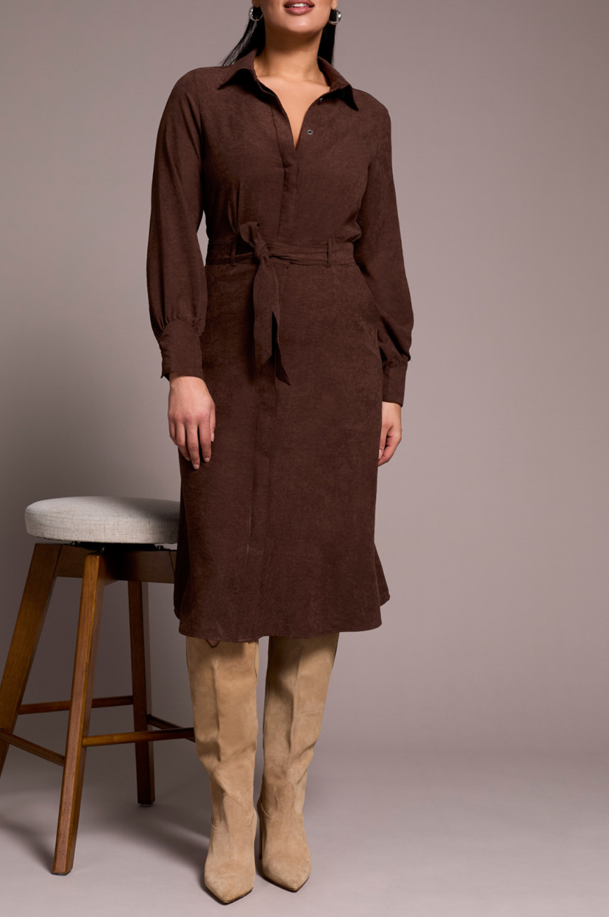 Cocoa Suede Dress